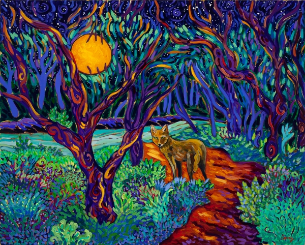 Click here to view Coyote Night in the Elfin Forest by Cathy Carey