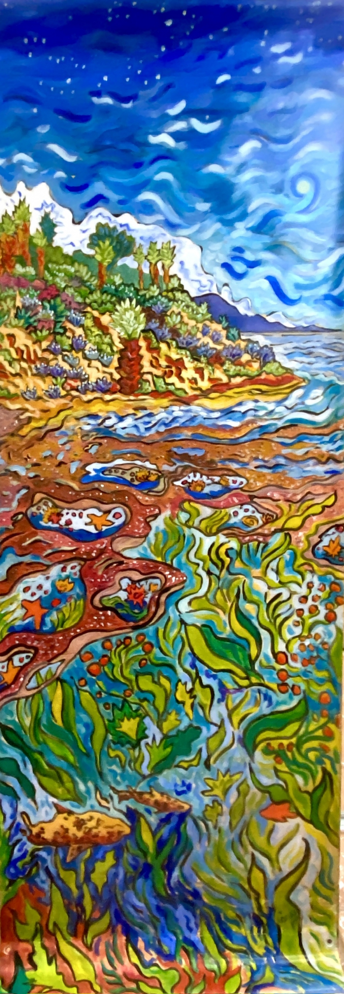 Click here to view Moonset Over tide Pools by Cathy Carey
